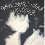 V10LÄ†1Öñ$