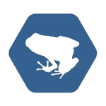 - Frog Studios -