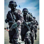 jailbreak fan swat group