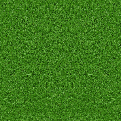 Grass Texture Roblox decal