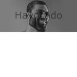 Team Hav0c