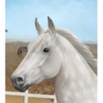 Ocean eyes stable