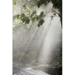 Beautiful Rain