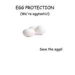 EGG PROTECTION (We're exgelent!)
