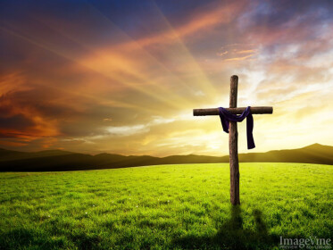 In loving memory