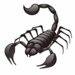 teamscorpion
