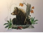 Orso come te e la tua forza