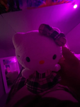 The crazy little bunny