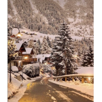 obessed xmas