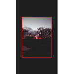 Vibe Squad...