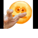 Member gang