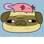 The Puzzled Pugs and Abstract Axolotl