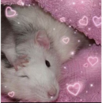FR0GS<33
