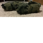DINO SHOES