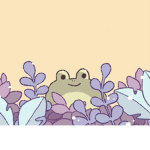 froggysss!!!
