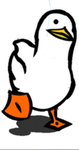 Ducks_Rule!!!