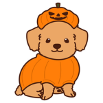 Pumpkin's scrumps