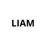 LiamFanGroup3132010
