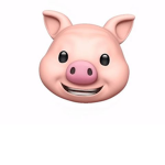 PigyOstudios Officail Head Quarters