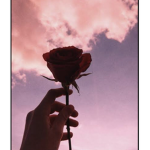 ~ The Key's ~