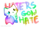 Just1rdinarygirl's Haters!