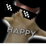 H A P P E N D