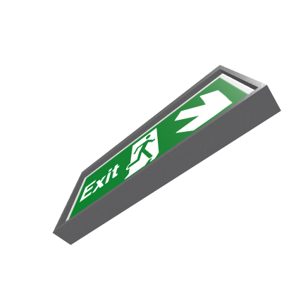 FLASHING EXIT SIGN