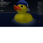 The roleplay community