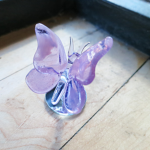 Glass butterfly’s