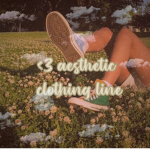 <3 aesthetic clothing line