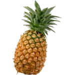Pineappleism