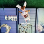 Lizzys Dizzys