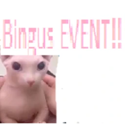 find the floppas (Bingus Event) icon