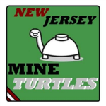 New Jersey Mine Turtles