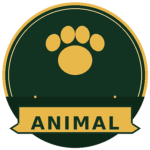Animal group squad