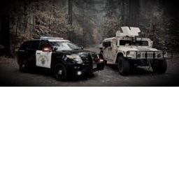 CHP game
