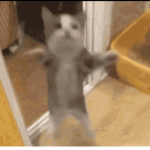 Home Humans