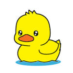 Ducky United Meetings!