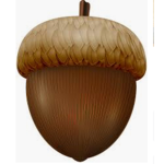 ACORN EMPIRE