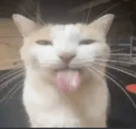 silly's things