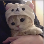 teentique