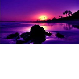 Natures Vibe Place
