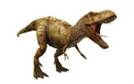 A Dinosaurs Life Fan Club