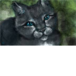 love warriorcats