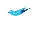 [BTA] Blue Tail Air