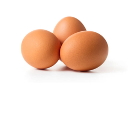 officle egg metting place