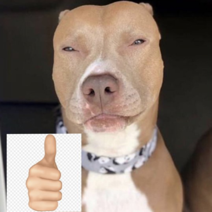 Good dog! Roblox decal