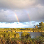 RainbowTopics