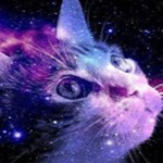Galaxy Kittys.