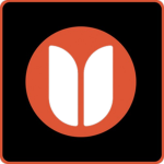 Beauty Group Limited